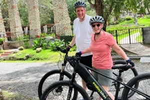Electric Bikes Rental in El Valle de Anton