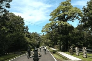 Electric Bikes Rental in El Valle de Anton