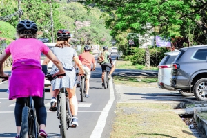 Electric Bikes Rental in El Valle de Anton