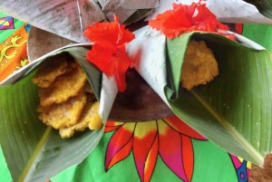 Embera Indian Village, Chagres River and Waterfall