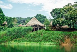 Embera indigenous Village in the Chagres Jungle & Waterfall