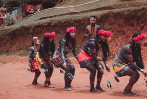 Aldea indígena Embera en la Selva de Chagres y Cascada