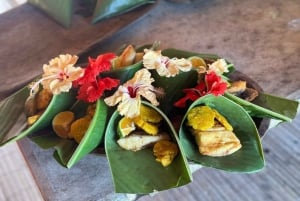 Embera Village & Alajuela Lake wildlife with Lunch Included