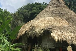 Embera-landsbyen ved Chagres-elven og fottur til vannfalken