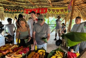 Embera-landsbyen ved Chagres-elven og fottur til vannfalken