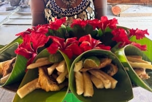 Embera-landsbyen ved Chagres-elven og fottur til vannfalken