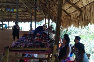 EMBERA VILLAGE + waterval wandeling (privé all inclusive tour)