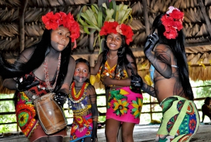 Tur i Embera-landsbyen og fossefallregnskogen med lunsj og henting