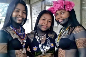 Passeio pela vila de Embera e cachoeira na floresta tropical com almoço e serviço de busca