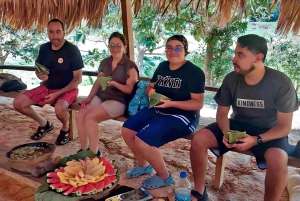 Tour della foresta pluviale del villaggio di Embera e delle cascate con pranzo e prelievo