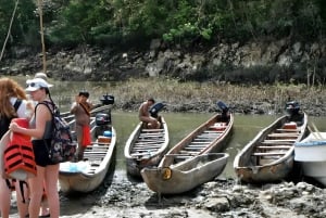 Passeio pela vila de Embera e cachoeira na floresta tropical com almoço e serviço de busca