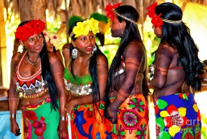 Passeio pela vila de Embera e cachoeira na floresta tropical com almoço e serviço de busca