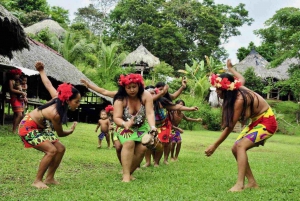 Embera Village & Waterfall Rainforest Tour med lunch och upphämtning