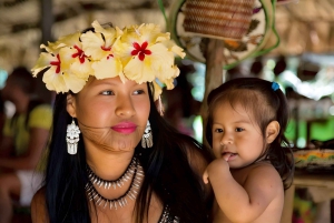 Tour della foresta pluviale del villaggio di Embera e delle cascate con pranzo e prelievo