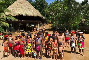 Tour della foresta pluviale del villaggio di Embera e delle cascate con pranzo e prelievo