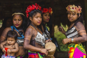 Excursión a la aldea Embera y a la selva tropical de las cataratas con almuerzo y servicio de recogida