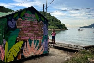 Experience Taboga tour