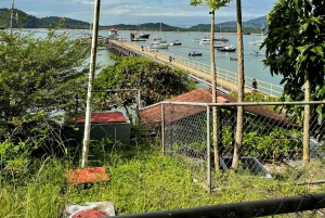 Experience Taboga tour