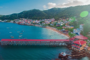 Experience Taboga tour