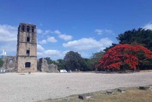 Explorando a história das cidades e dos sabores