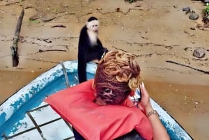 Feed Wild Monkeys on Panama Canal at Monkey Island Adventure