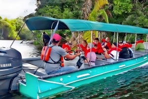 Füttere wilde Affen am Panamakanal im Monkey Island Adventure