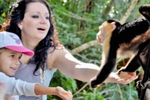 Feed Wild Monkeys on Panama Canal at Monkey Island Adventure