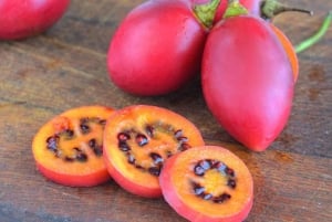 For Curious Palates: Guided Exotic Fruit Tasting in Panama