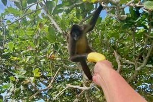 Desde Colón Crucero Termi: 3 Islas del Caribe y Fuerte de Portobelo