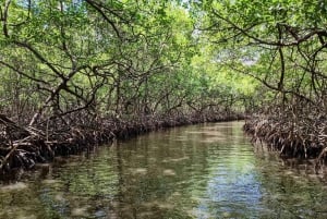 Z Colon Cruise Termi: 3 karaibskie wyspy i fort Portobelo