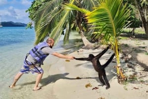 Fra Colon Cruise Termi: 3 caribiske øer og Portobelo Fort