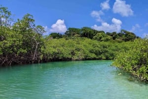 Fra Colon Cruise Termi: 3 caribiske øer og Portobelo Fort