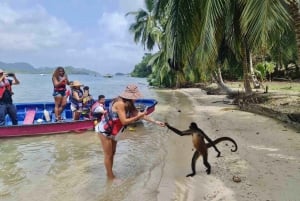 Fra Colon Cruise Termi: 3 caribiske øer og Portobelo Fort