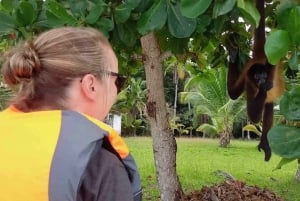 De Colón Cruzeiro Termi: 3 ilhas do Caribe e Forte de Portobelo