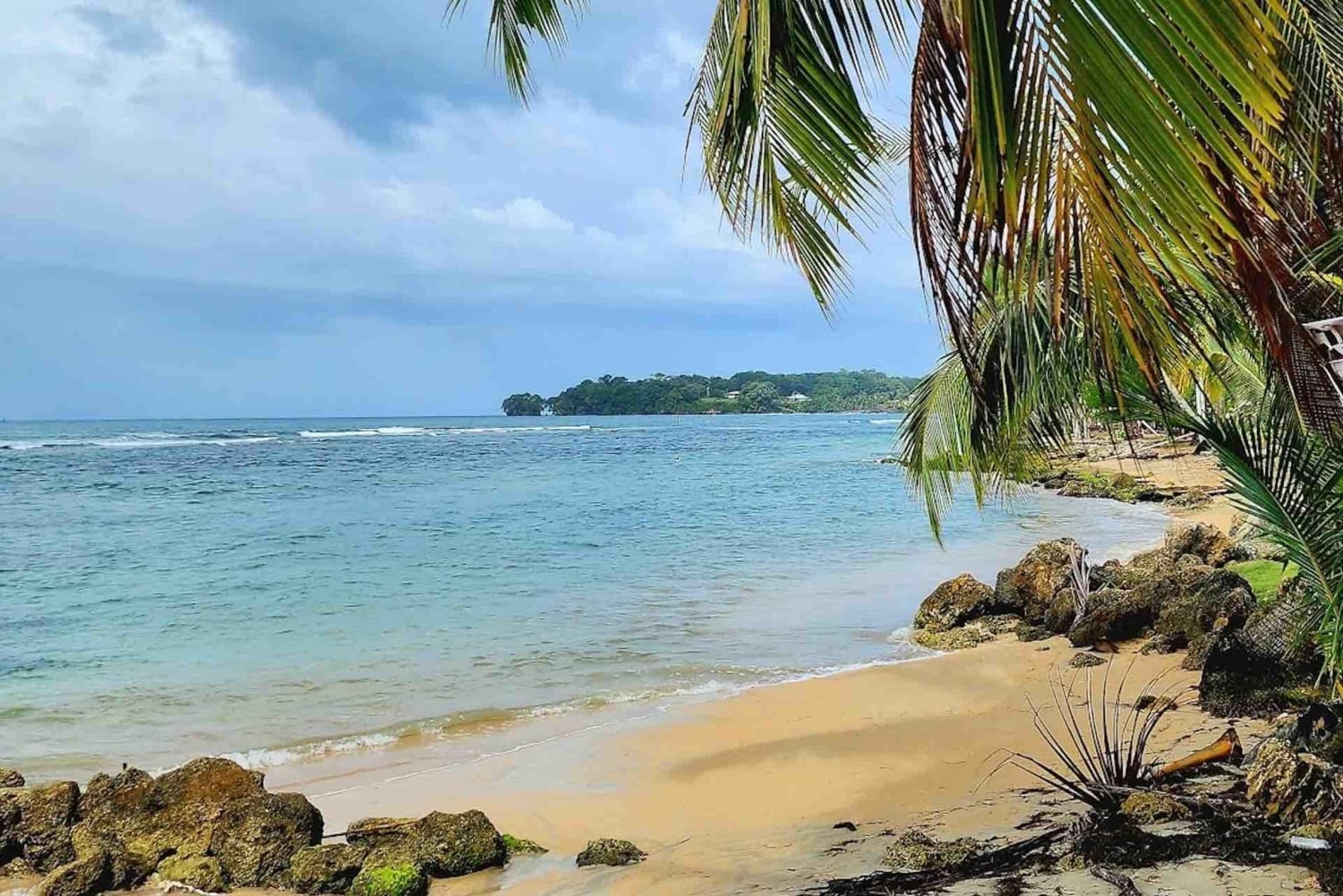 From Isla Colon: Bocas del Toro Archipelago Boat Tour