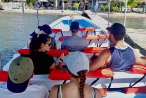 From Isla Colon: Bocas del Toro Archipelago Boat Tour