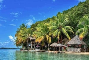 From Isla Colon: Bocas del Toro Archipelago Boat Tour