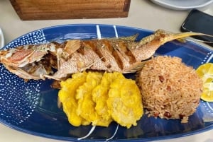 From Isla Colon: Bocas del Toro Archipelago Boat Tour