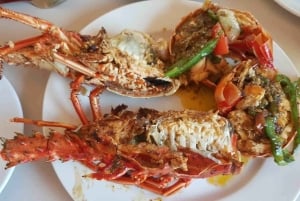 From Isla Colon: Bocas del Toro Archipelago Boat Tour