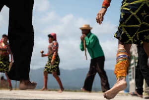 Panama Citystä: 4 San Blasin saarten päiväretki lounaalla