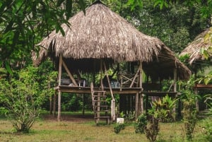 Desde Ciudad de Panamá: 5 días con la comunidad Embera en la selva del Darién