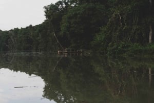 Vanuit Panama Stad: 5 dagen met de Embera gemeenschap in het Darién regenwoud