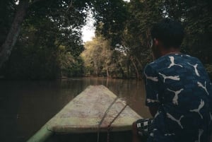 Ab Panama-Stadt: 5 Tage bei der Embera-Gemeinschaft im Darién-Regenwald