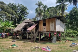 Au départ de la ville de Panama : 5 jours auprès de la communauté Embera dans la forêt tropicale de Darién