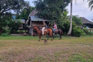 From Panama City: 5 days with the Embera community in the Darién rainforest