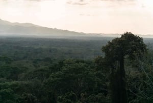 Da Cidade do Panamá: 5 dias com a comunidade Embera na floresta tropical de Darién