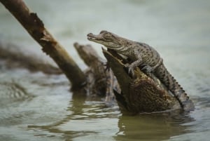 Things to do in Panama City