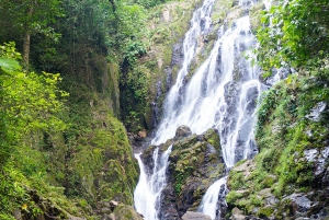 Fra Panama City: ATV-offroad-eventyr med jungle og vandfald