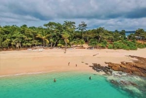 From Panama City: Beach Day in Las Perlas Island Resort