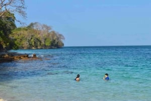 From Panama City: Beach Day in Las Perlas Island Resort